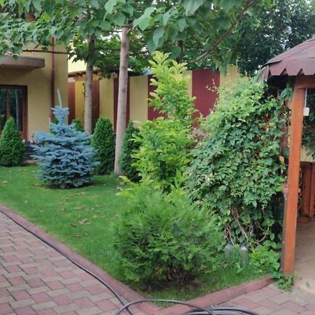 Cazare Buzau Daire Dış mekan fotoğraf