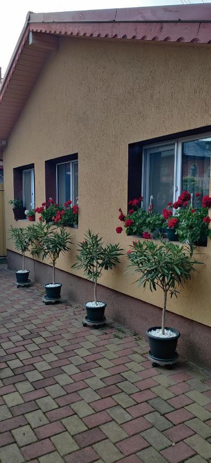 Cazare Buzau Daire Dış mekan fotoğraf